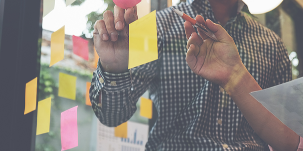 Shutter Stock _679066552 Sticky on Wall